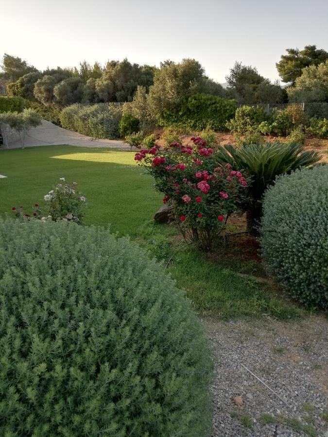 فندق Dimitra Rafína المظهر الخارجي الصورة